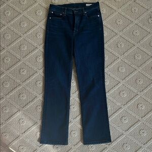 Women's Dark Blue AYR jeans